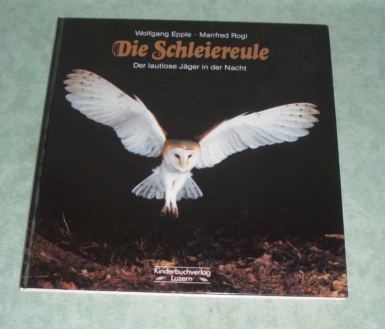 Epple, Schleiereulen