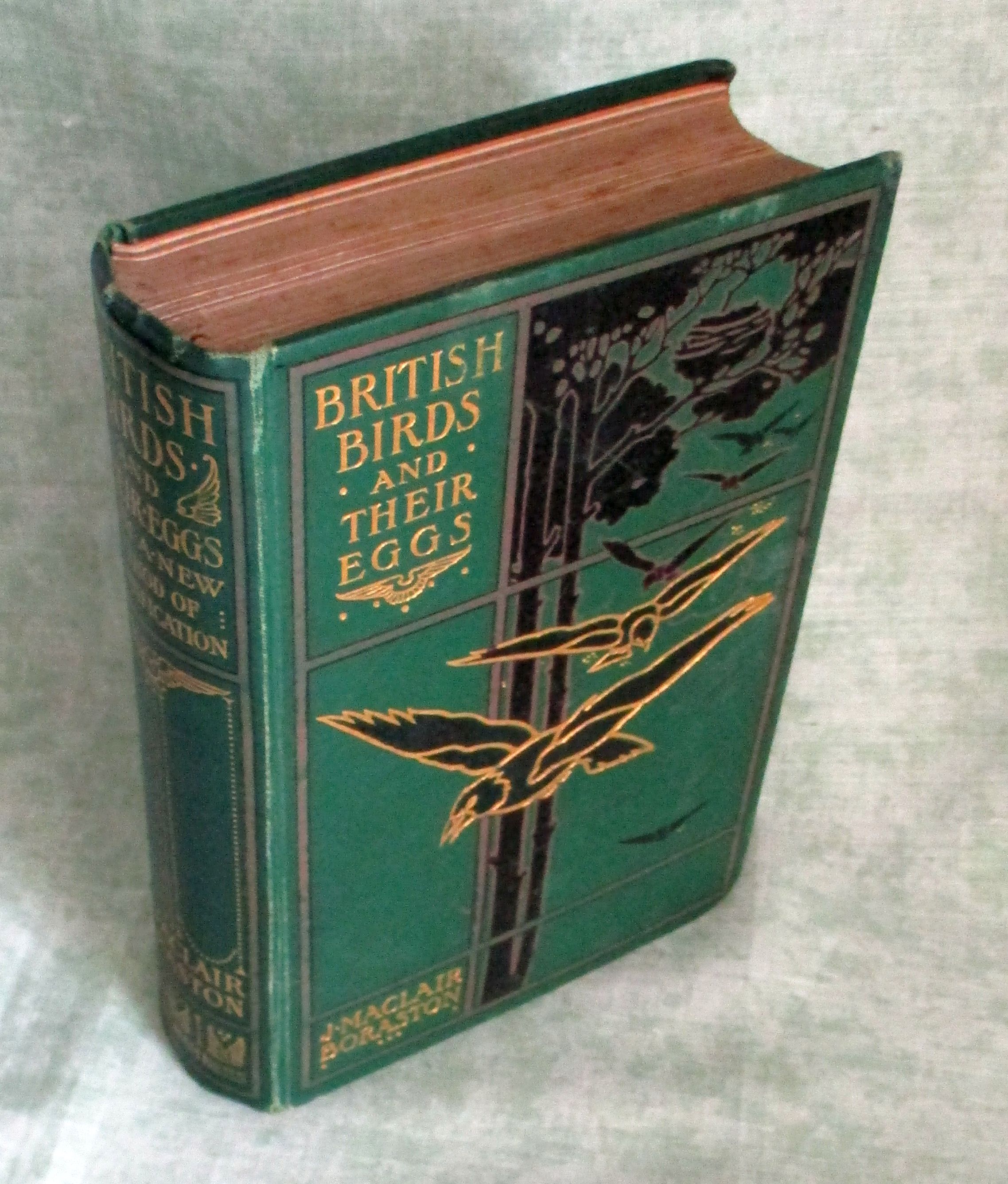 38364A.jpg