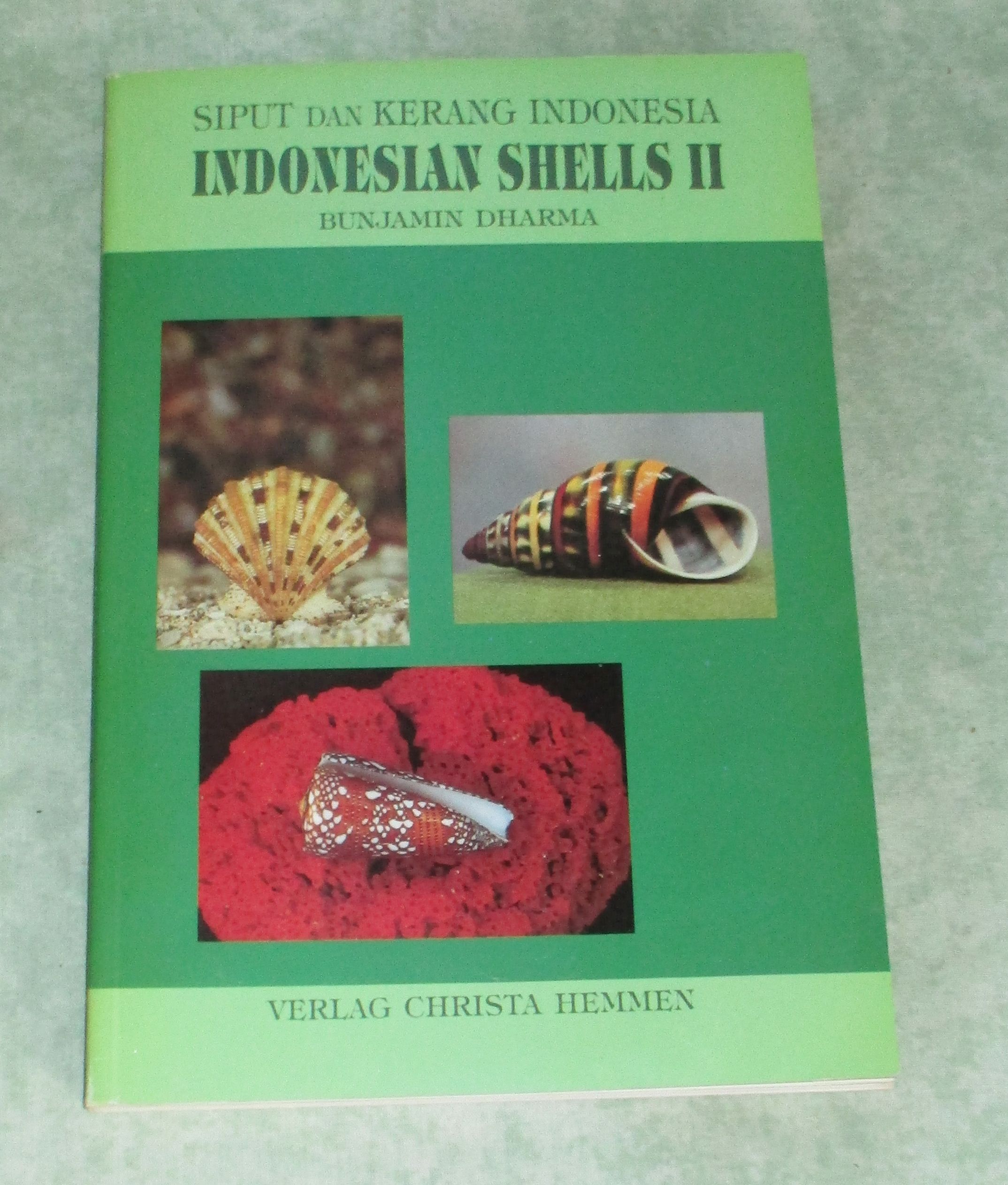 Indonesian Shells