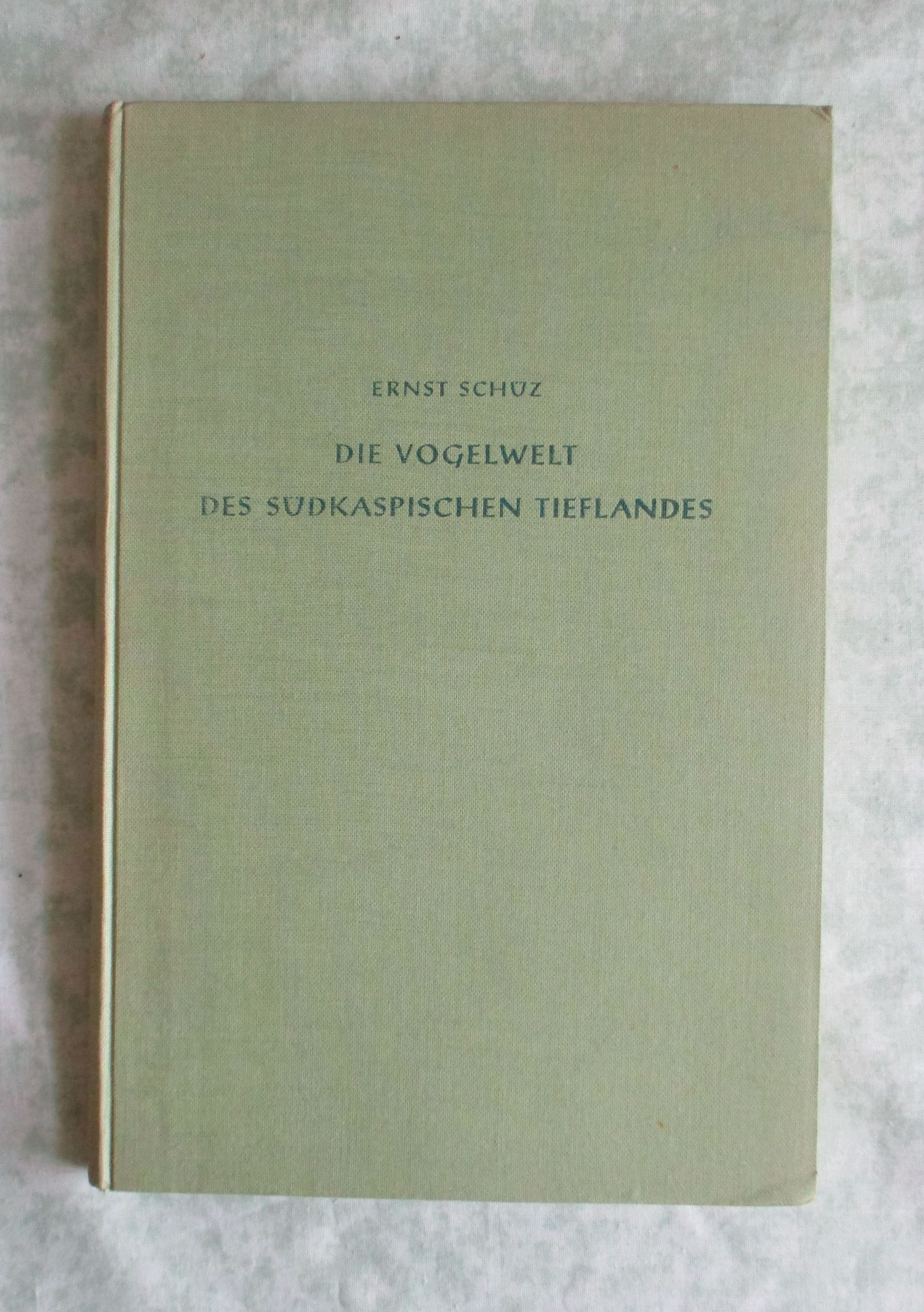 5534A.jpg