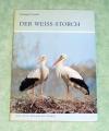 Creutz, Weissstorch